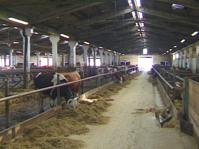 Úvodní obrázek společnosti C H Agro, traktory, sýpky, lidé.